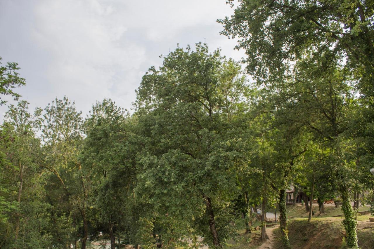 Хостел El Clar Del Bosc Pujarnol Экстерьер фото